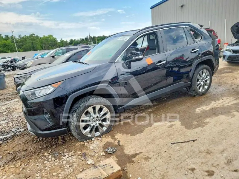 2019 Toyota RAV4 photo