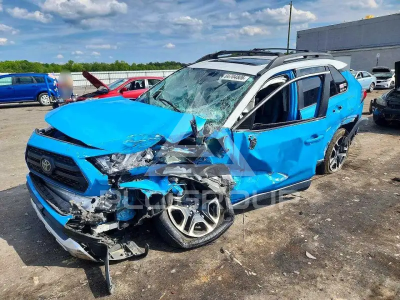 2019 Toyota RAV4 фото