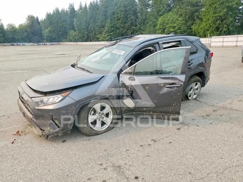 2019 Toyota RAV4 фото
