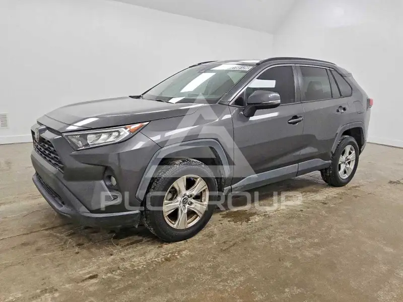 2019 Toyota RAV4 photo