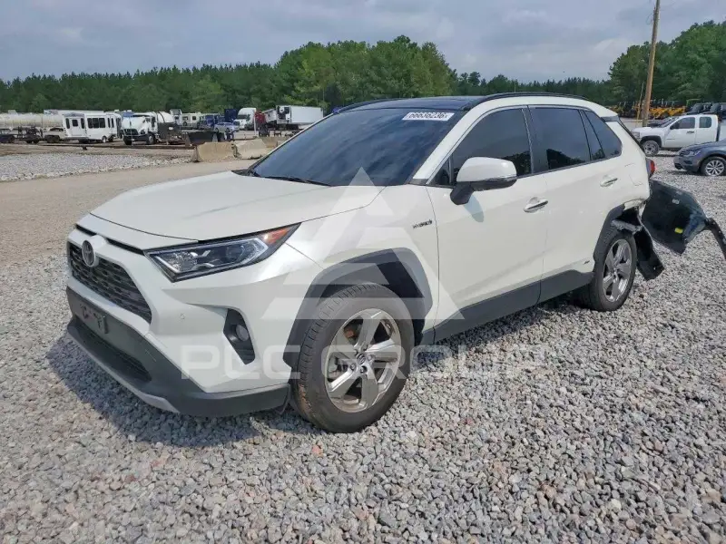 2019 Toyota RAV4 фото