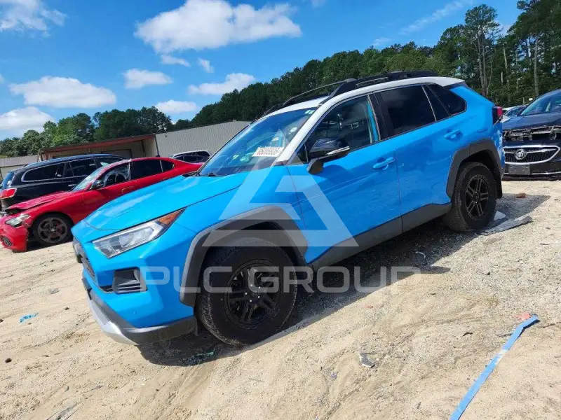 2019 Toyota RAV4 фото