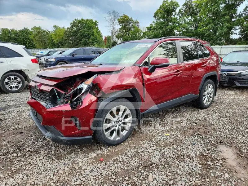 2019 Toyota RAV4 photo