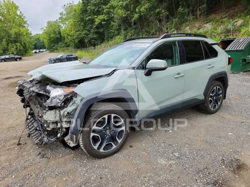 2019 Toyota RAV4 photo