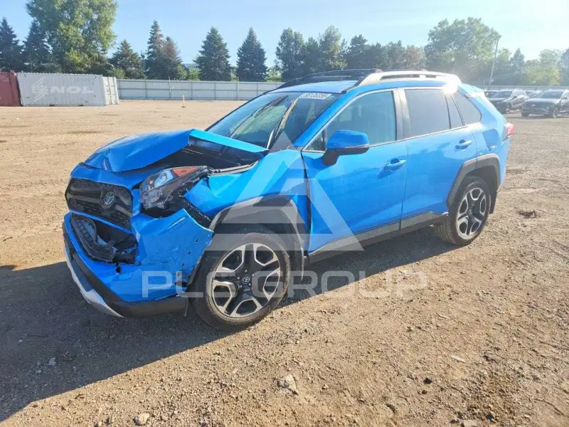 2019 Toyota RAV4 photo