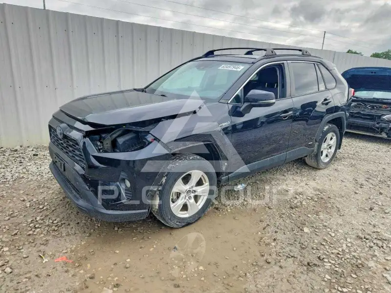 2019 Toyota RAV4 photo