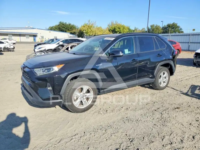 2019 Toyota RAV4 photo