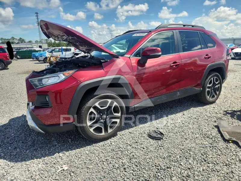 2019 Toyota RAV4 фото