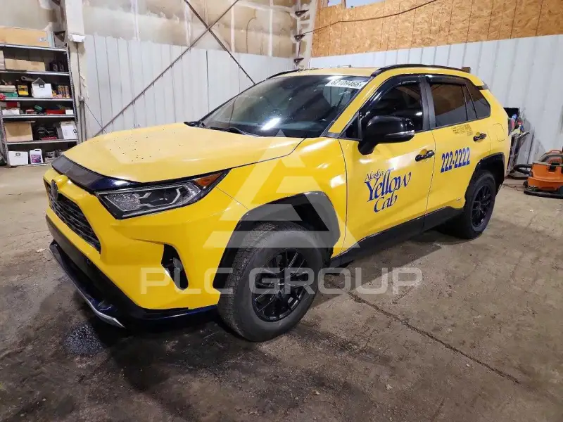 2019 Toyota RAV4 фото