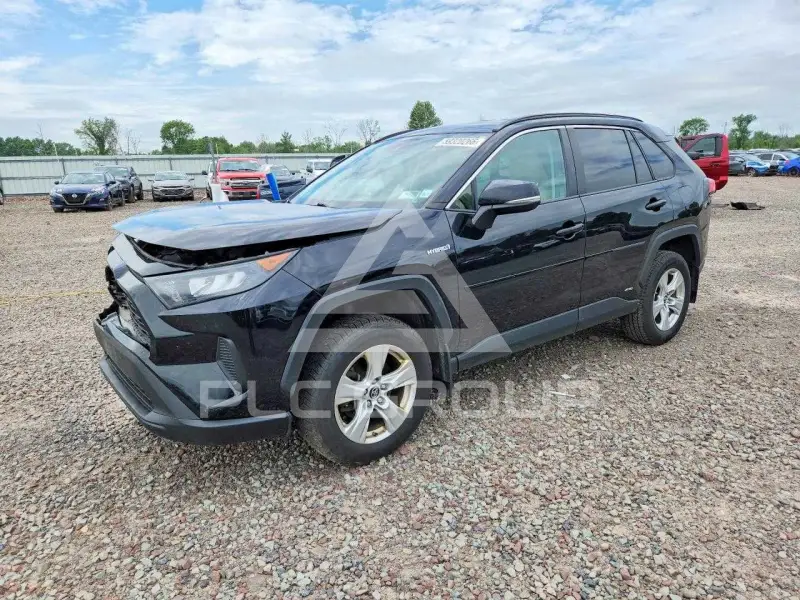 2019 Toyota RAV4 фото
