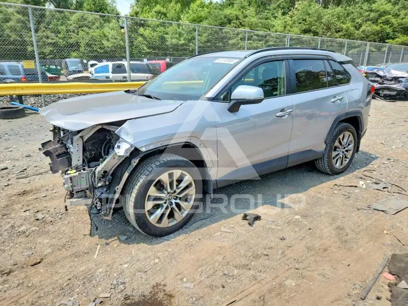 2019 Toyota RAV4 photo