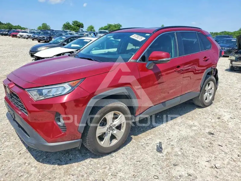 2019 Toyota RAV4 photo