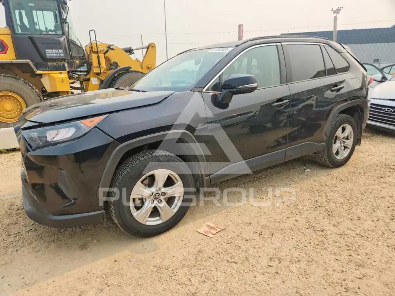 2019 Toyota RAV4 фото