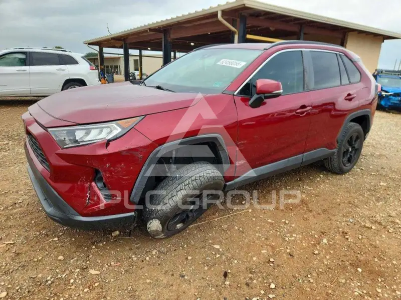 2019 Toyota RAV4 photo