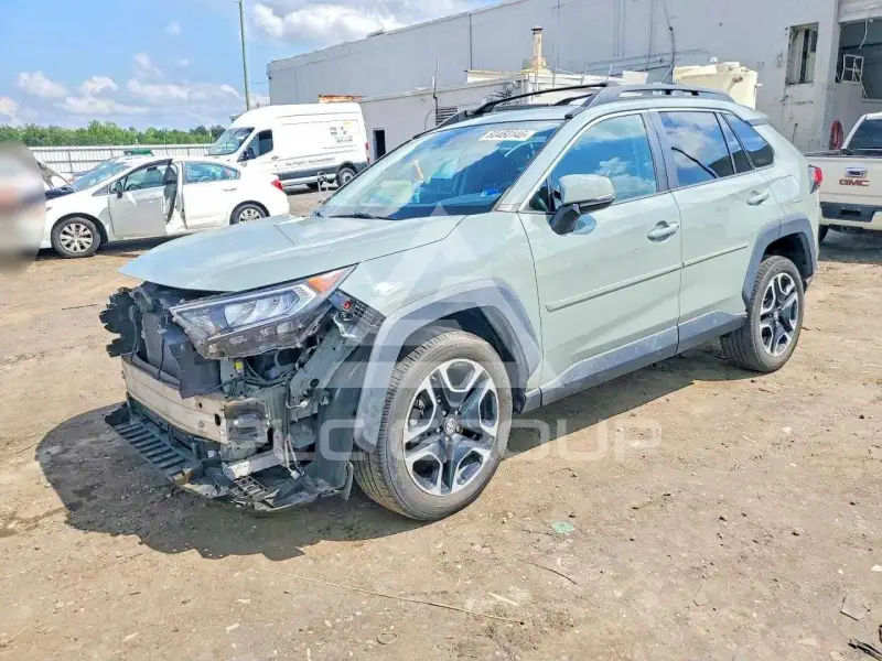 2019 Toyota RAV4 photo