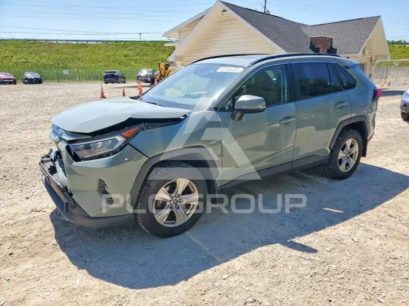 2019 Toyota RAV4 photo