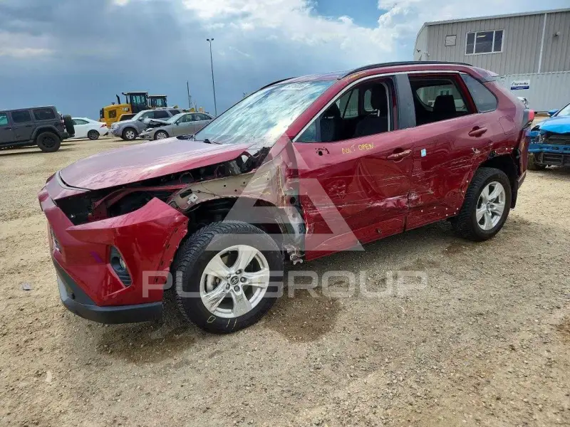2019 Toyota RAV4 фото