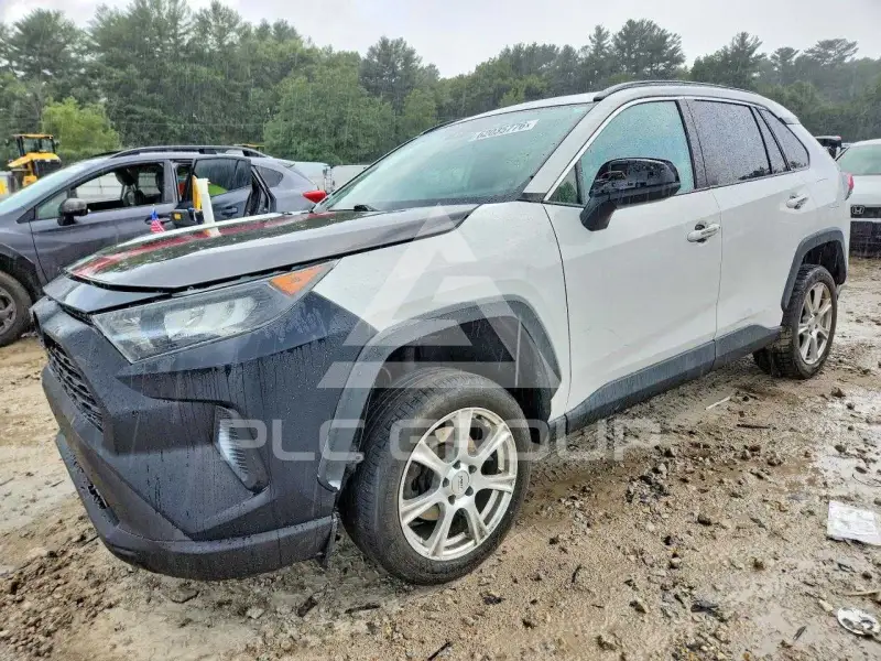 2019 Toyota RAV4 photo