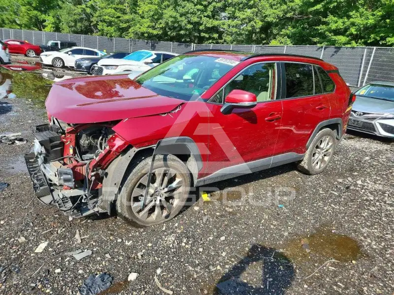 2019 Toyota RAV4 фото