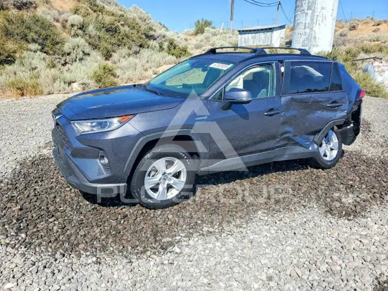 2019 Toyota RAV4 photo
