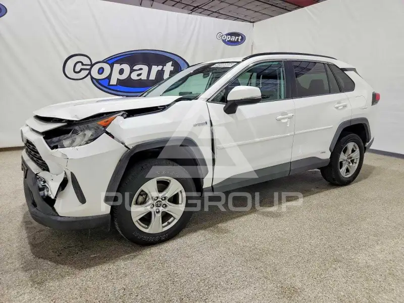 2019 Toyota RAV4 photo