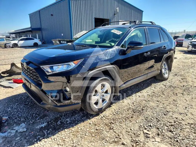 2019 Toyota RAV4 photo