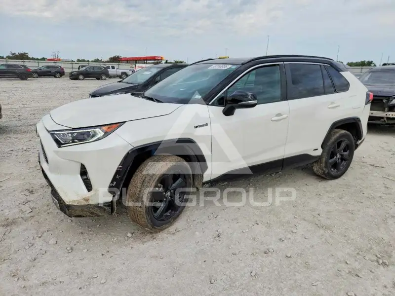 2019 Toyota RAV4 photo