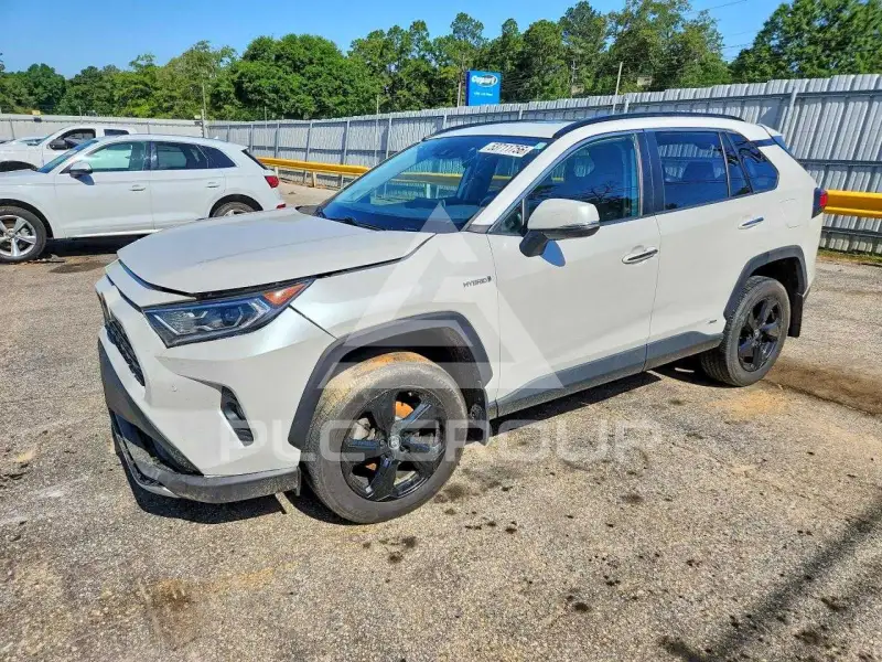 2019 Toyota RAV4 фото