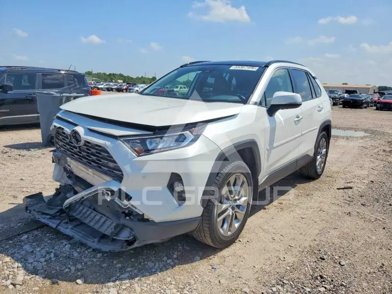 2019 Toyota RAV4 photo