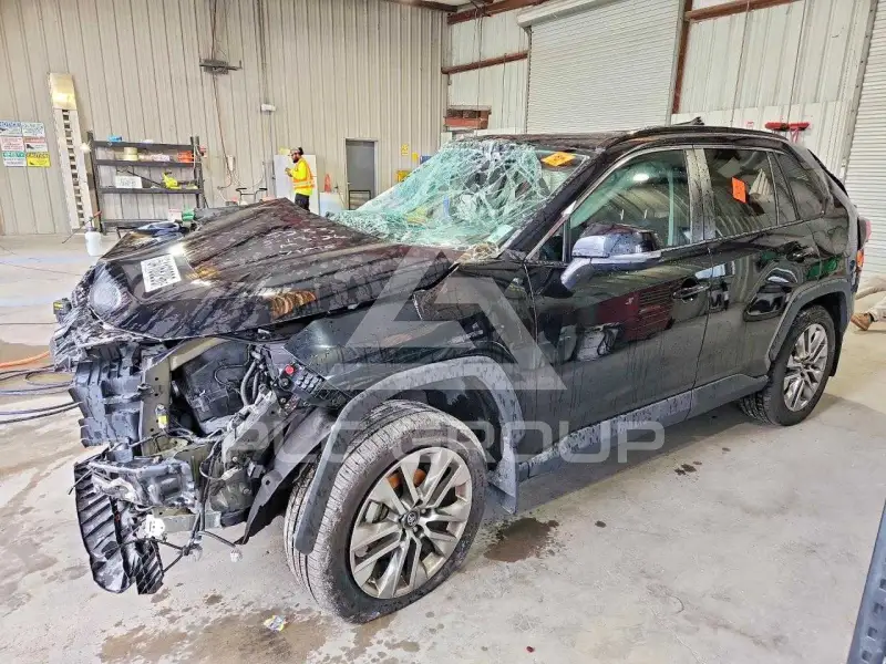 2019 Toyota RAV4 фото