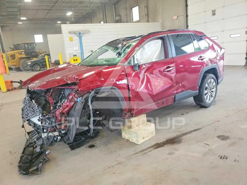 2019 Toyota RAV4 фото