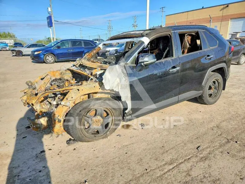 2019 Toyota RAV4 фото