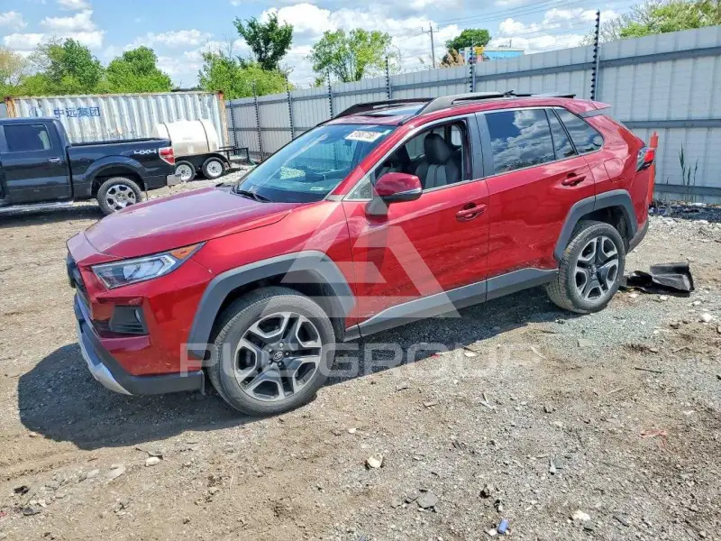 2019 Toyota RAV4 фото