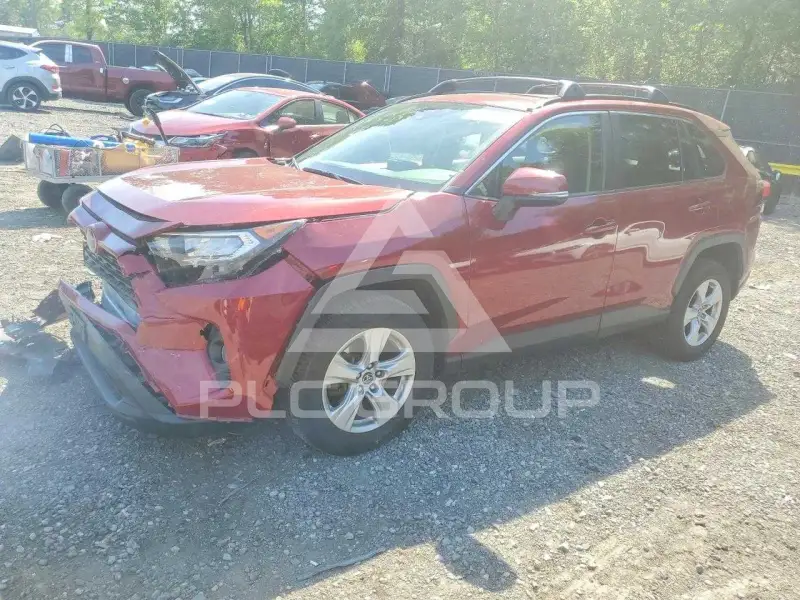 2019 Toyota RAV4 photo