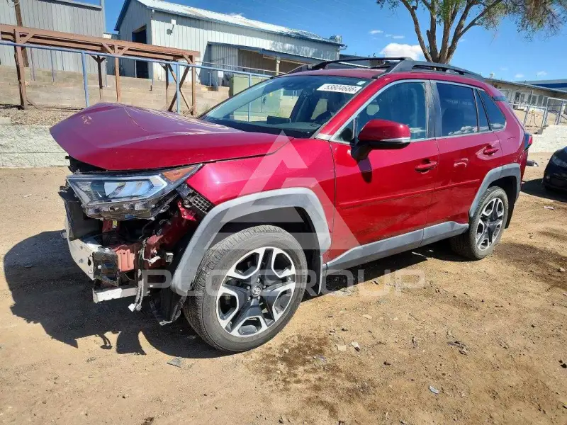 2019 Toyota RAV4 photo
