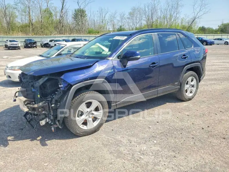 2019 Toyota RAV4 фото