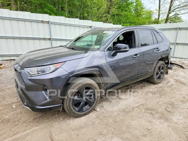2019 Toyota RAV4 фото
