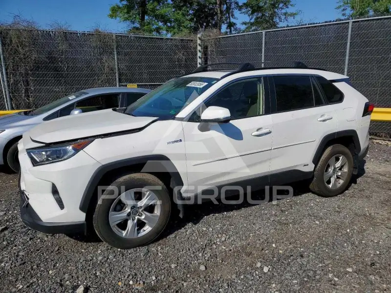 2019 Toyota RAV4 photo
