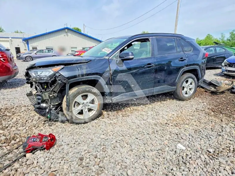 2019 Toyota RAV4 photo