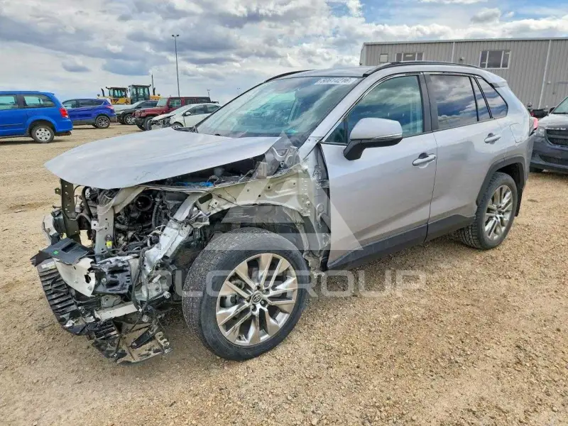 2019 Toyota RAV4 фото