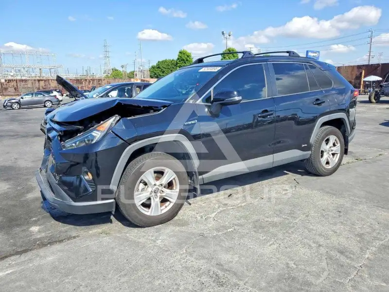 2019 Toyota RAV4 photo