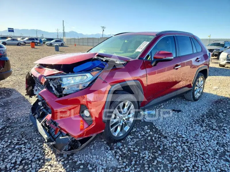 2019 Toyota RAV4 фото