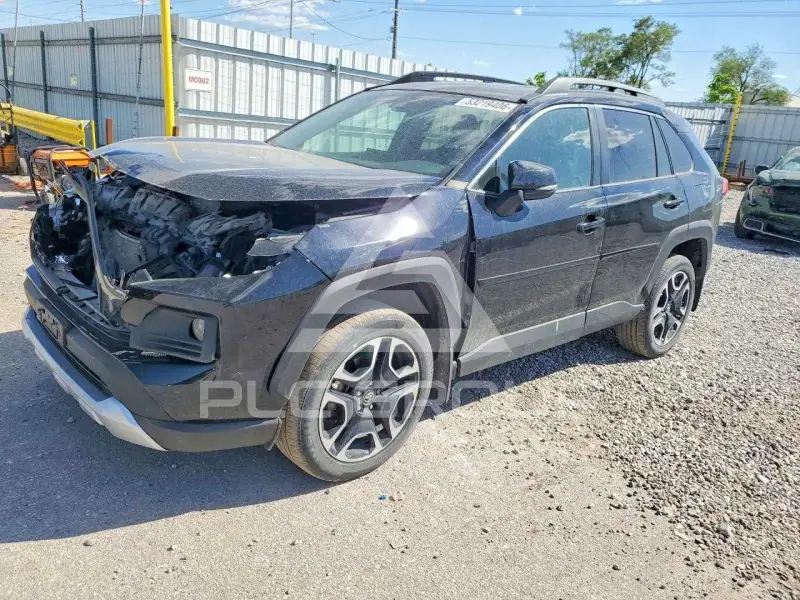 2019 Toyota RAV4 фото