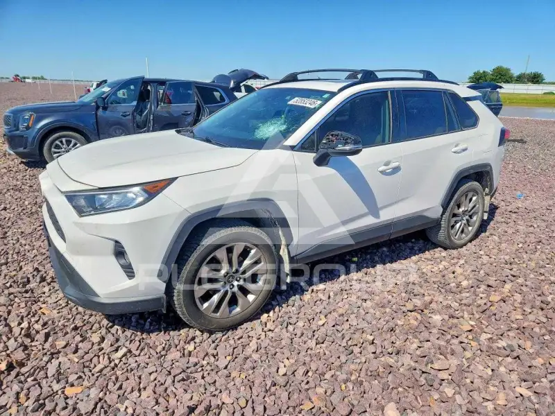2019 Toyota RAV4 photo
