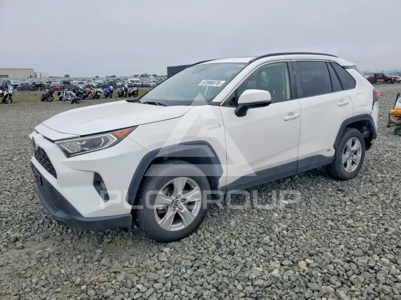 2019 Toyota RAV4 фото