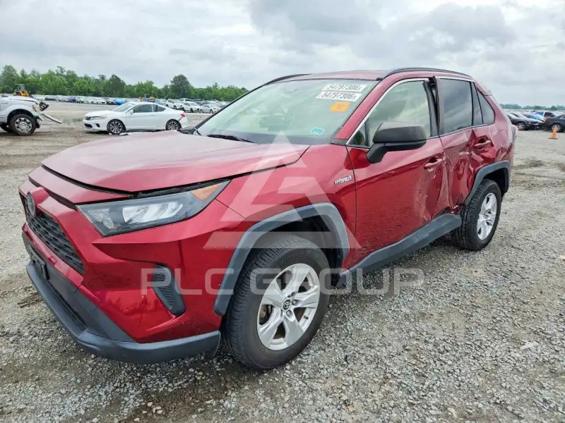 2019 Toyota RAV4 фото