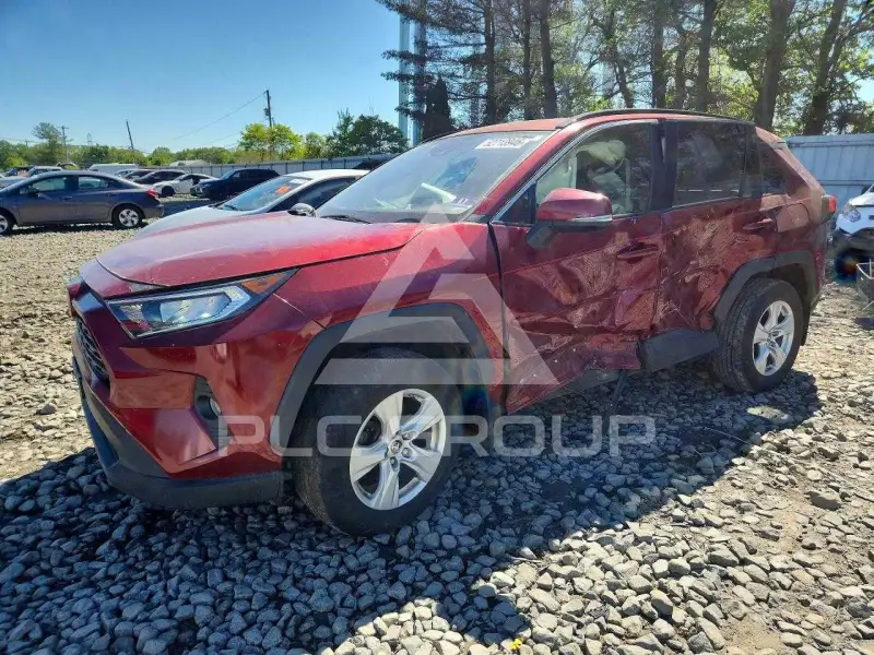 2019 Toyota RAV4 photo