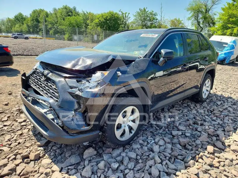 2019 Toyota RAV4 photo