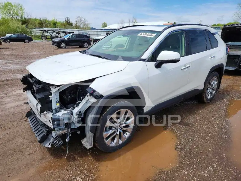 2019 Toyota RAV4 photo