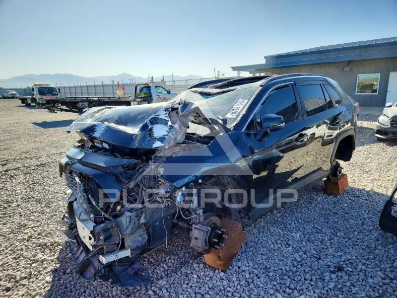 2019 Toyota RAV4 фото